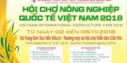 Sunstone Việt Nam tham gia hội chợ triển lãm tại Cần Thơ từ ngày 2 đến 6-11-2018