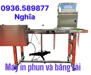Hình ảnh 13