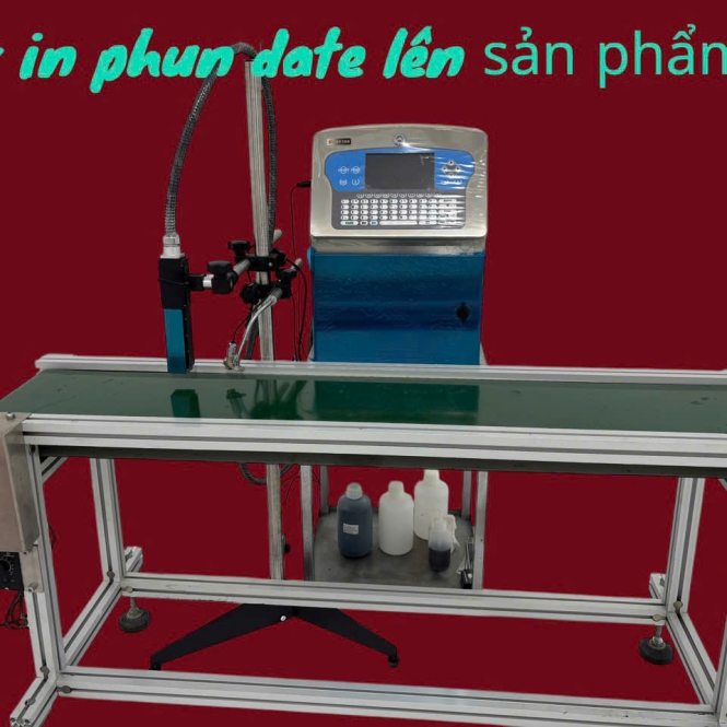 Hình ảnh 5