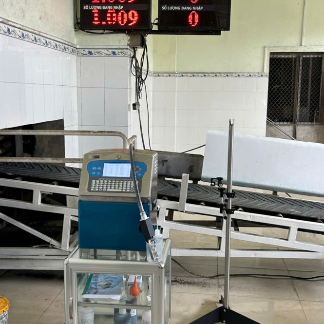 Hình ảnh 11