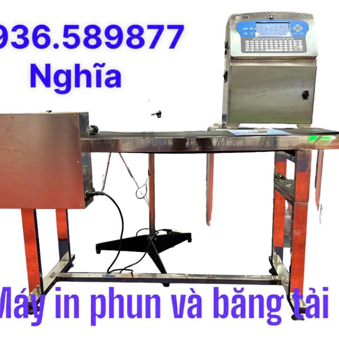 Hình ảnh 13